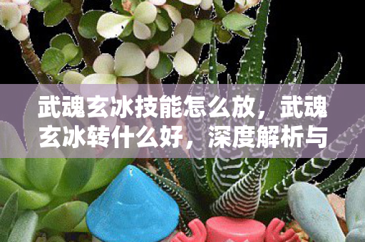 武魂玄冰技能怎么放，武魂玄冰转什么好，深度解析与策略建议