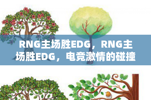 RNG主场胜EDG，RNG主场胜EDG，电竞激情的碰撞与荣耀的见证