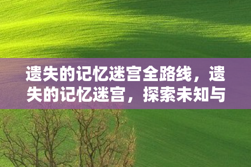 遗失的记忆迷宫全路线，遗失的记忆迷宫，探索未知与回忆的奇幻之旅