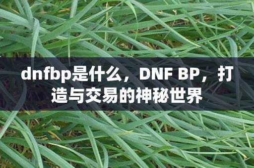 dnfbp是什么，DNF BP，打造与交易的神秘世界