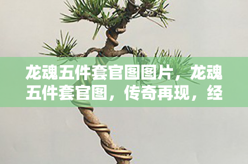 龙魂五件套官图图片，龙魂五件套官图，传奇再现，经典永存