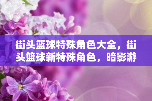 街头篮球特殊角色大全，街头篮球新特殊角色，暗影游侠的崛起