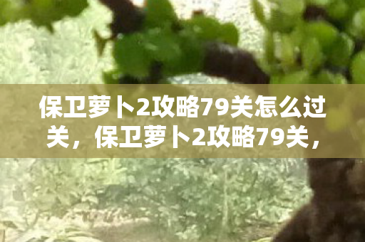 保卫萝卜2攻略79关怎么过关，保卫萝卜2攻略79关，巧妙布阵，轻松过关