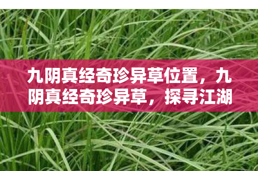 九阴真经奇珍异草位置，九阴真经奇珍异草，探寻江湖中的神秘宝藏
