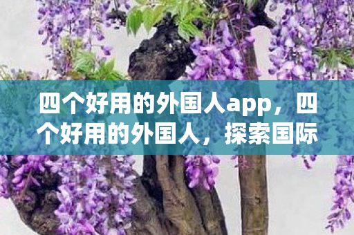 四个好用的外国人app，四个好用的外国人，探索国际友谊的无限可能