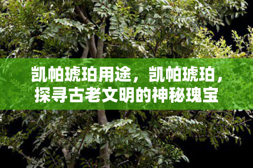 凯帕琥珀用途，凯帕琥珀，探寻古老文明的神秘瑰宝