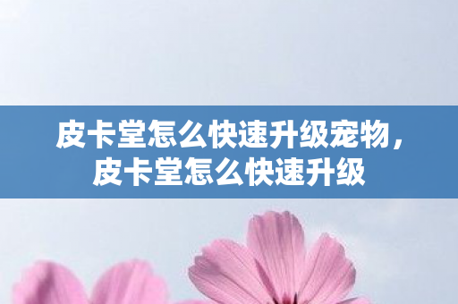 皮卡堂怎么快速升级宠物，皮卡堂怎么快速升级
