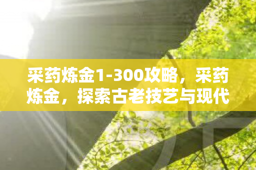 采药炼金1-300攻略，采药炼金，探索古老技艺与现代科技的融合