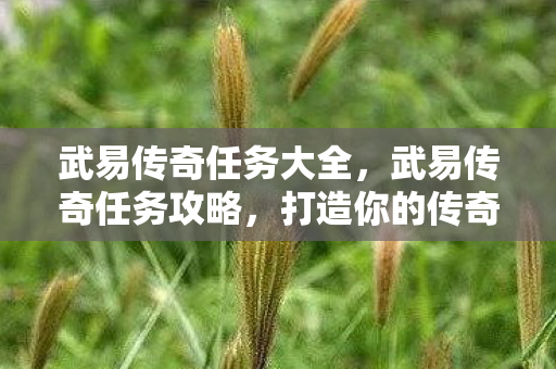 武易传奇任务大全，武易传奇任务攻略，打造你的传奇之旅