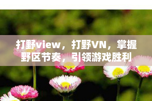 打野view，打野VN，掌握野区节奏，引领游戏胜利