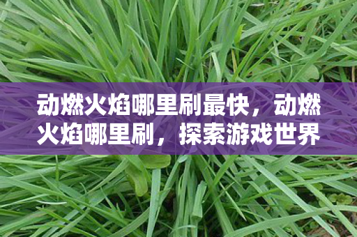 动燃火焰哪里刷最快，动燃火焰哪里刷，探索游戏世界的神秘火焰