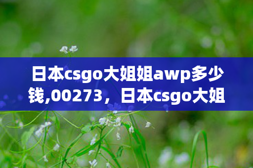 日本csgo大姐姐awp多少钱,00273，日本csgo大姐姐AWP价格揭秘，珍贵收藏与价格趋势