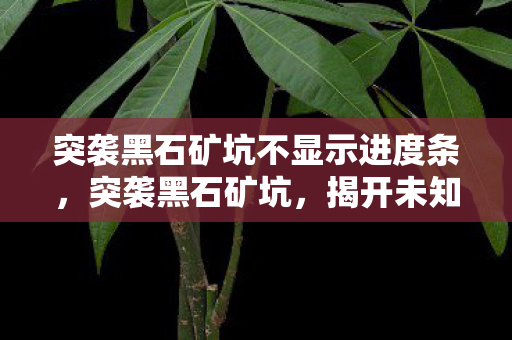 突袭黑石矿坑不显示进度条，突袭黑石矿坑，揭开未知世界的神秘面纱