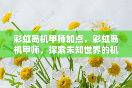 彩虹岛机甲师加点，彩虹岛机甲师，探索未知世界的机械战士