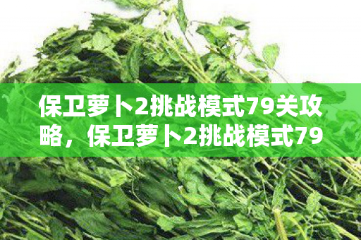 保卫萝卜2挑战模式79关攻略，保卫萝卜2挑战模式79，策略与技巧的深度解析