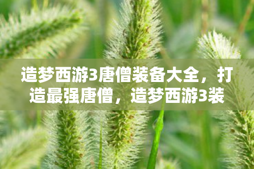 造梦西游3唐僧装备大全，打造最强唐僧，造梦西游3装备全解析