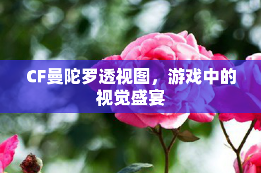 CF曼陀罗透视图，游戏中的视觉盛宴