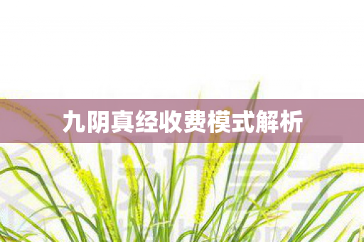 九阴真经收费模式解析