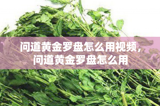 问道黄金罗盘怎么用视频，问道黄金罗盘怎么用