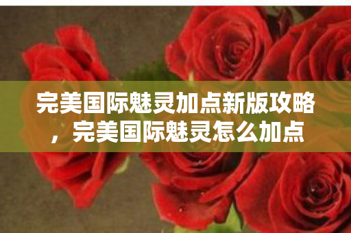 完美国际魅灵加点新版攻略，完美国际魅灵怎么加点