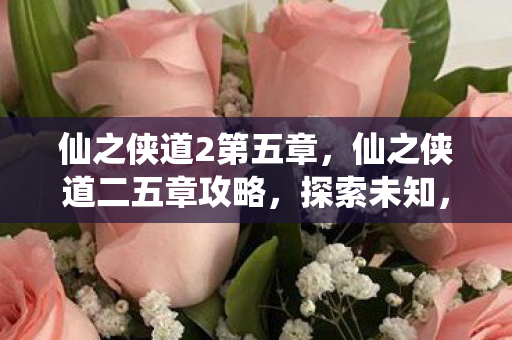 仙之侠道2第五章，仙之侠道二五章攻略，探索未知，挑战极限