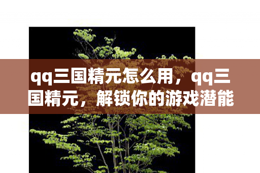 qq三国精元怎么用，qq三国精元，解锁你的游戏潜能，提升战斗实力