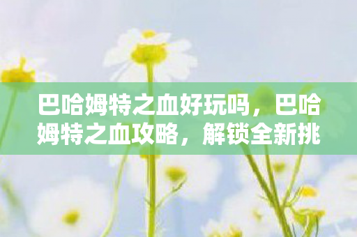 巴哈姆特之血好玩吗，巴哈姆特之血攻略，解锁全新挑战与奖励