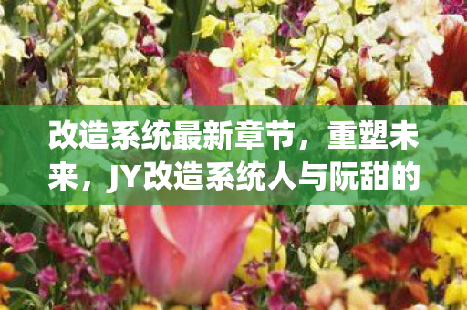 改造系统最新章节，重塑未来，JY改造系统人与阮甜的奇幻之旅