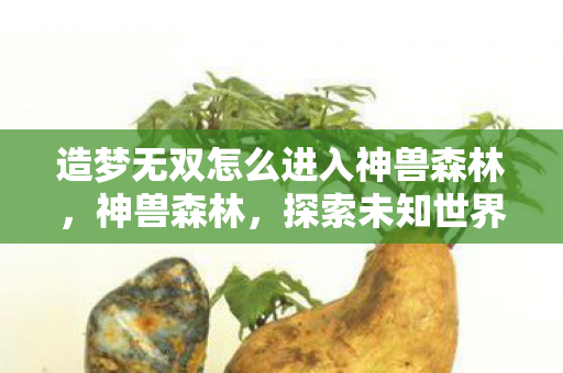 造梦无双怎么进入神兽森林，神兽森林，探索未知世界的奇幻之旅