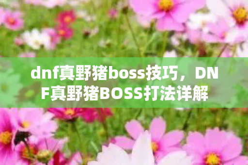 dnf真野猪boss技巧，DNF真野猪BOSS打法详解