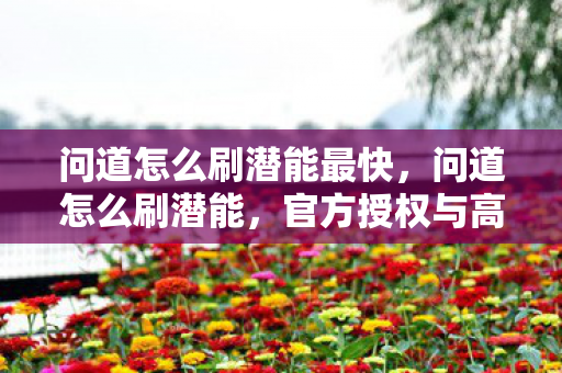 问道怎么刷潜能最快，问道怎么刷潜能，官方授权与高效策略