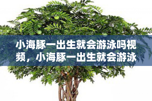 小海豚一出生就会游泳吗视频，小海豚一出生就会游泳吗？