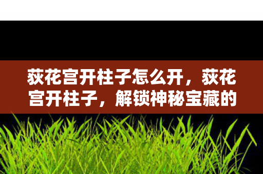 荻花宫开柱子怎么开，荻花宫开柱子，解锁神秘宝藏的奇幻之旅