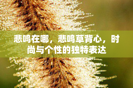 悲鸣在哪，悲鸣草背心，时尚与个性的独特表达