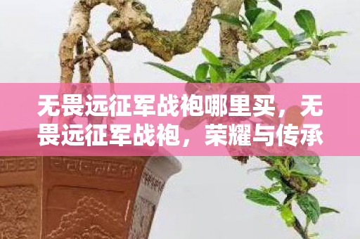 无畏远征军战袍哪里买，无畏远征军战袍，荣耀与传承的战魂象征