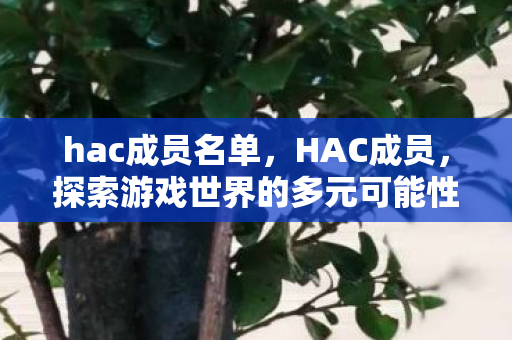 hac成员名单，HAC成员，探索游戏世界的多元可能性