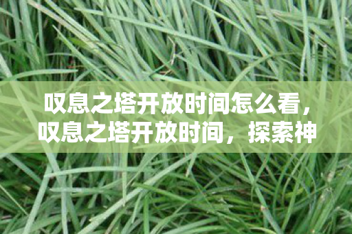 叹息之塔开放时间怎么看，叹息之塔开放时间，探索神秘之塔的神秘时刻