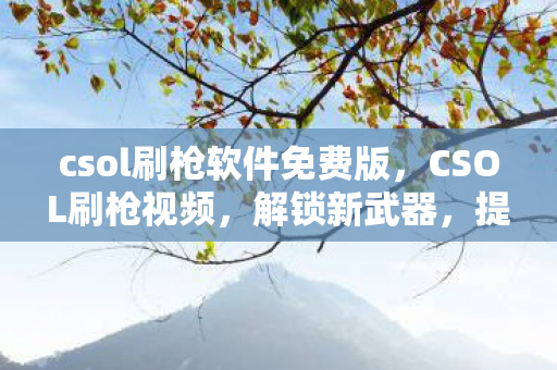 csol刷枪软件免费版，CSOL刷枪视频，解锁新武器，提升战斗力的秘密