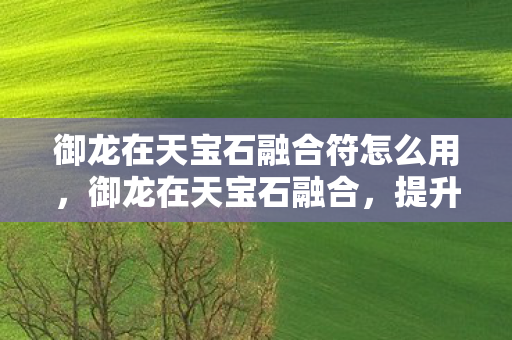 御龙在天宝石融合符怎么用，御龙在天宝石融合，提升战力，打造无敌装备