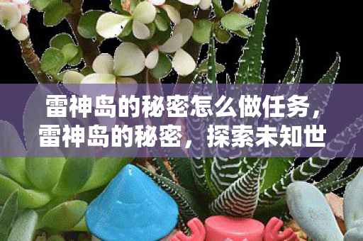 雷神岛的秘密怎么做任务，雷神岛的秘密，探索未知世界的奇幻之旅