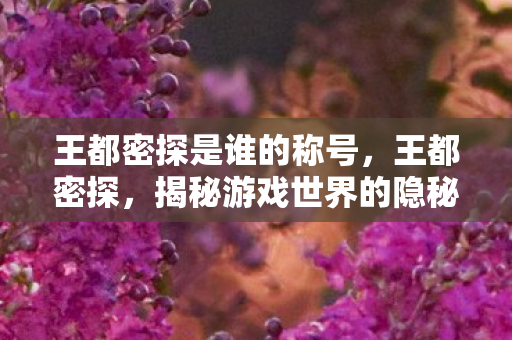 王都密探是谁的称号，王都密探，揭秘游戏世界的隐秘角落