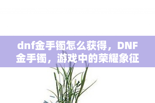 dnf金手镯怎么获得，DNF金手镯，游戏中的荣耀象征与珍贵收藏