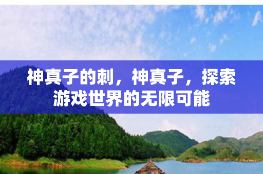 神真子的刺，神真子，探索游戏世界的无限可能