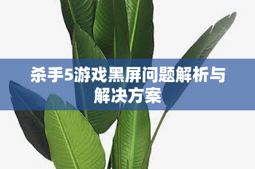 杀手5游戏黑屏问题解析与解决方案