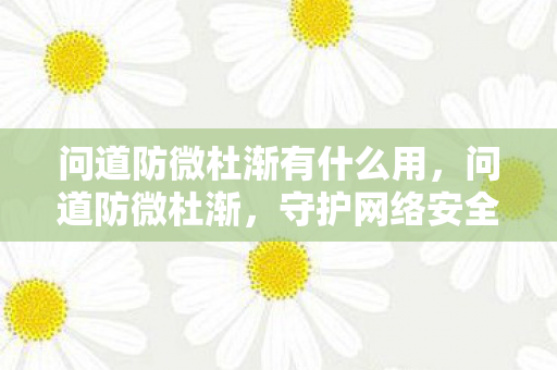 问道防微杜渐有什么用，问道防微杜渐，守护网络安全，远离非法服务器