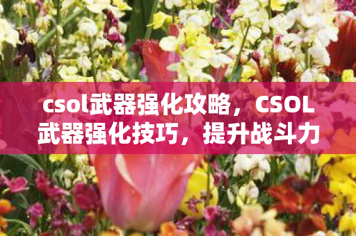 csol武器强化攻略，CSOL武器强化技巧，提升战斗力的关键步骤