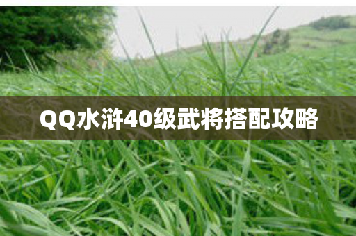 QQ水浒40级武将搭配攻略