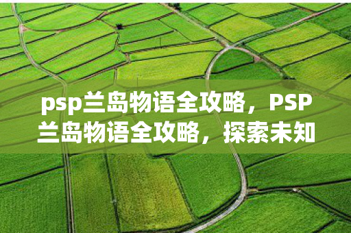 psp兰岛物语全攻略，PSP兰岛物语全攻略，探索未知岛屿的奇幻之旅