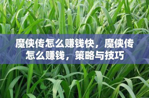 魔侠传怎么赚钱快，魔侠传怎么赚钱，策略与技巧