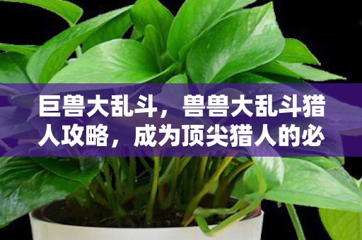 巨兽大乱斗，兽兽大乱斗猎人攻略，成为顶尖猎人的必备技巧